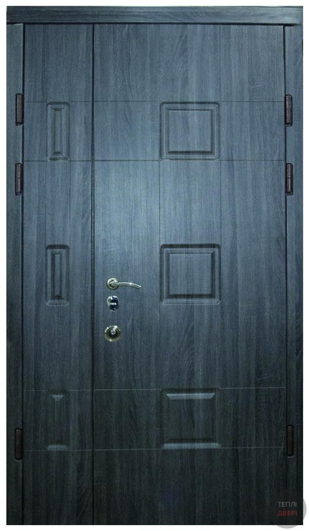 Двері двополі №111, купити Двері двополі №111