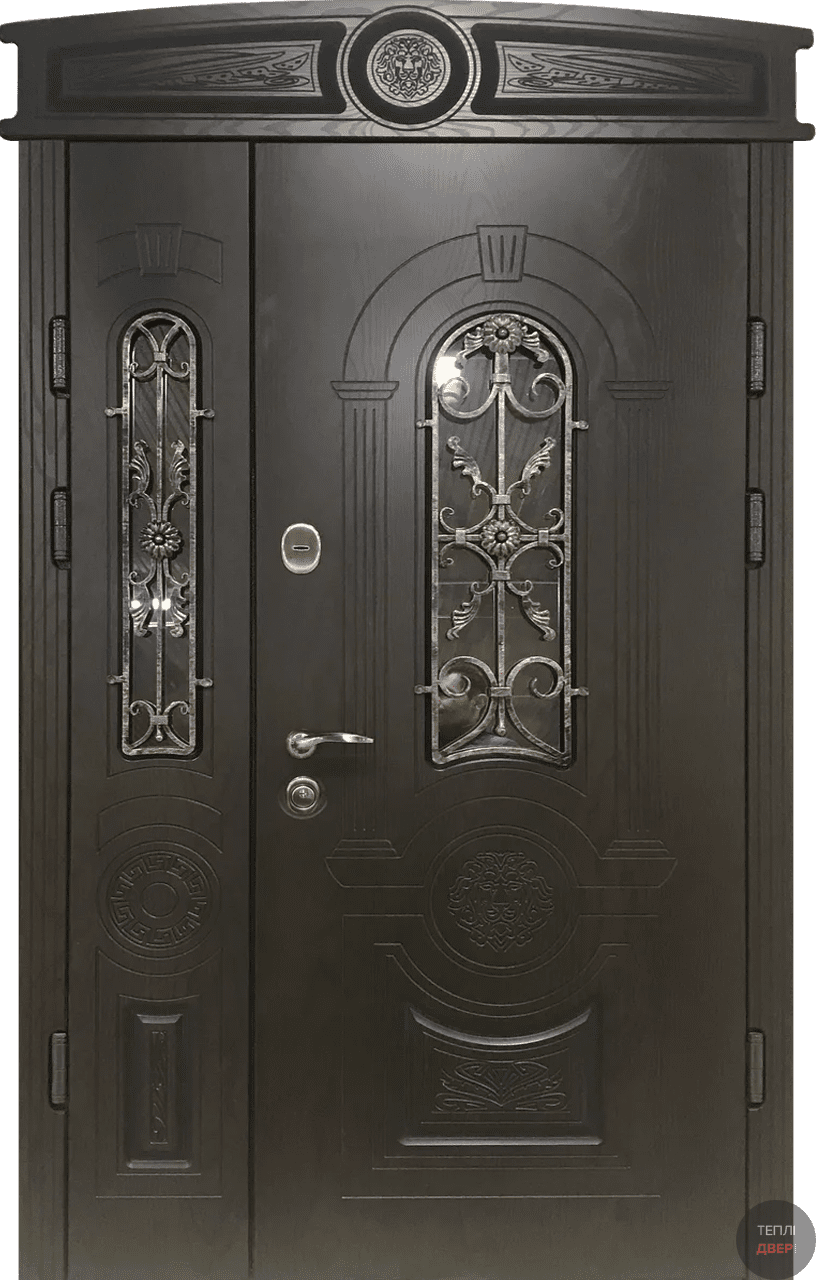 Двері полімерні №32, купити Двері полімерні №32