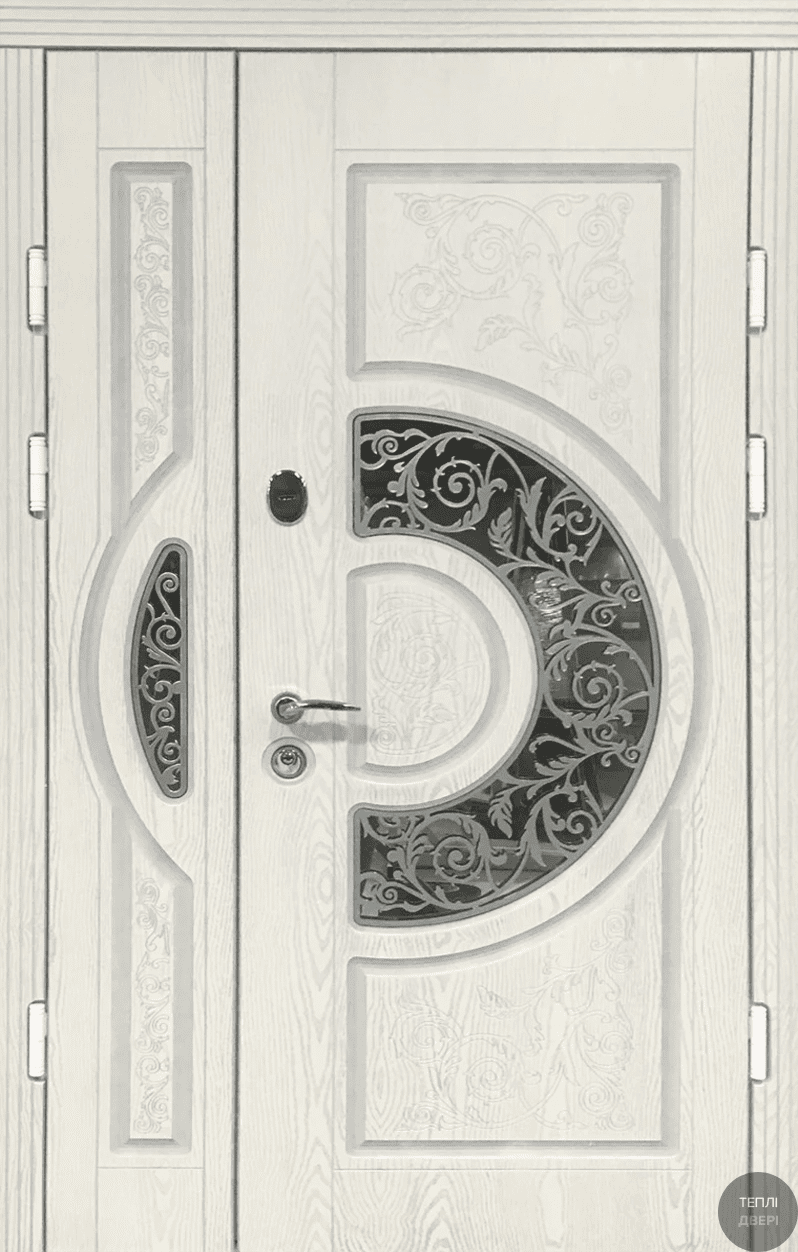 Двері полімерні №41, купити Двері полімерні №41